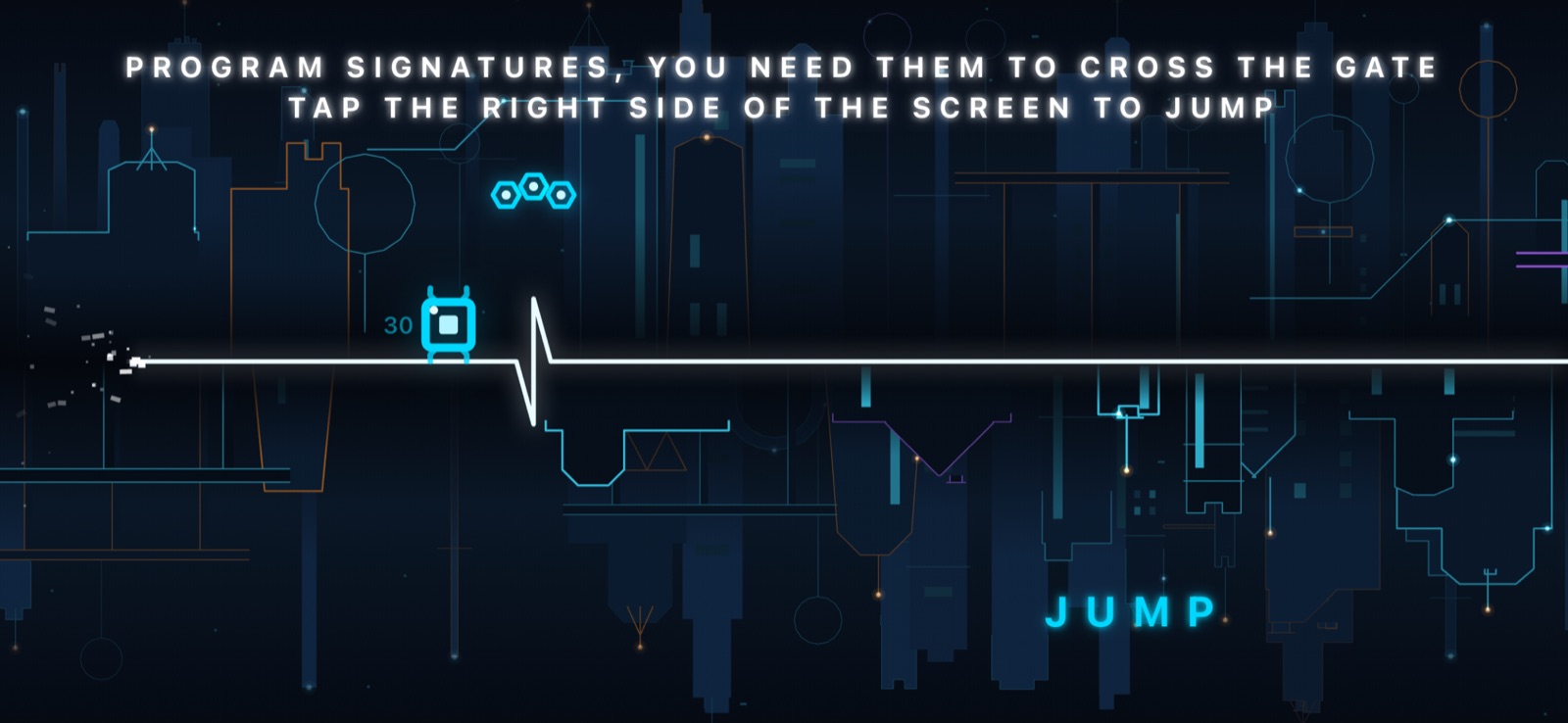 Program signatures